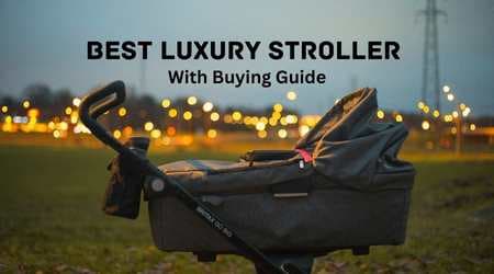 Best Luxury Stroller
