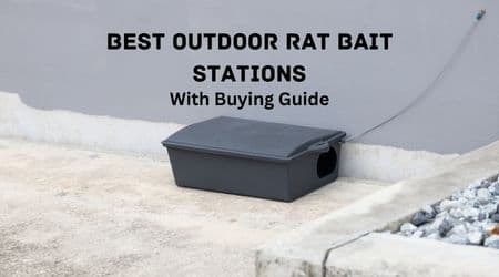 Best Outdoor Rat Bait Stations