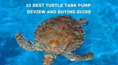 Best Turtle Tank Pump