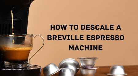 How to Descale a Breville Espresso Machine