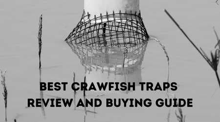 Best Crawfish Traps
