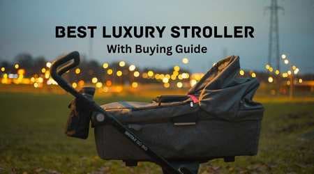 Best Luxury Strollers